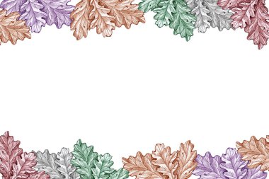 desen meşesi nesneyi izole eder beyaz arkaplan sonbaharı