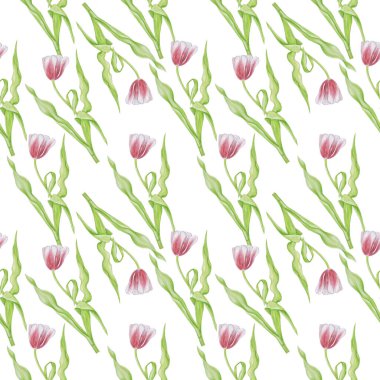 suluboya lale desenleri nesneyi izole et beyaz arkaplan çiçek kartlarını