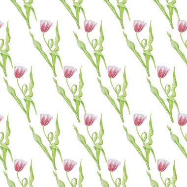 suluboya lale desenleri nesneyi izole et beyaz arkaplan çiçek kartlarını