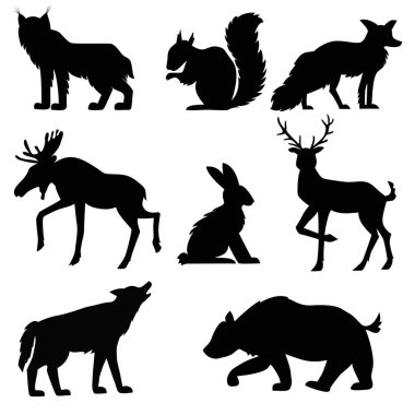 black forest  animals isolated on white background