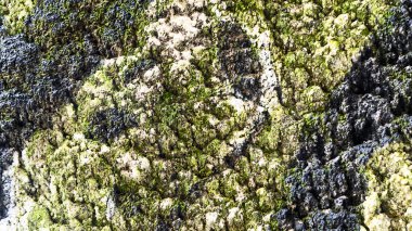 Erozyondan sonra beton düşük ışık