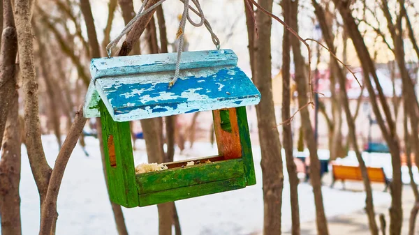 Alimentadores Para Aves Parque Ciudad — Foto de Stock