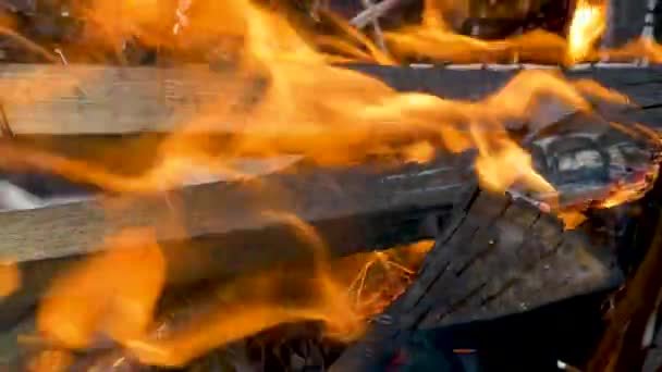 통에서 나무를 태우는 — 비디오