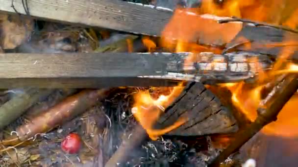 Bois Brûlé Dans Baril Fer — Video