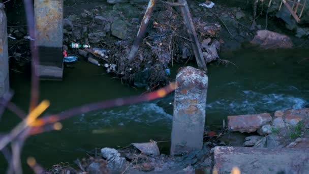 Bouteilles Plastique Flottantes Dans Petite Rivière — Video