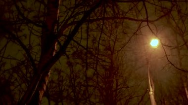 Akşam vakti sokakta kar fırtınası. Hafif ışık. Sıcak.