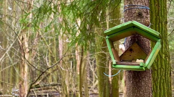 野生の森で自家製鳥の餌を — ストック写真