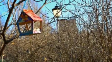 Serçeler sokak besleyicisi baharında beslenir.