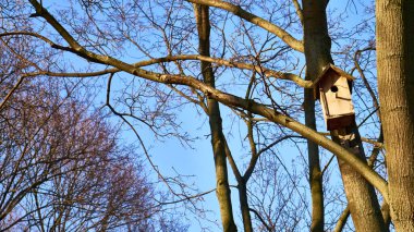 Moskova 'nın leylak bahçesindeki merkez sokakta.