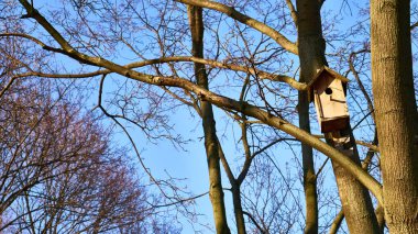 Moskova 'nın leylak bahçesindeki merkez sokakta.