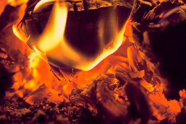 Спалювання Деревини Крупним Планом Макро Низьке Світло — стокове фото