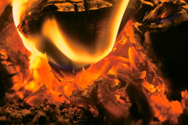 Сжигание Древесины Макро Низкий Свет — стоковое фото