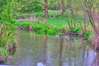 Orman akıntısı genel planı
