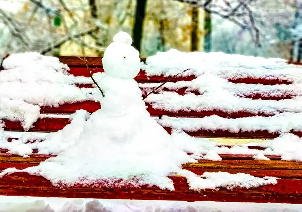 Genel Plan Renginde Bir Bankta Kardan Adam — Stok fotoğraf