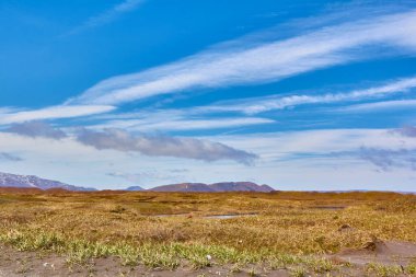 Deniz kıyısının güzel manzarası. Genetik plan rengi.