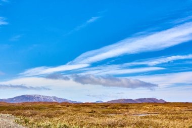 Deniz kıyısının güzel manzarası. Genetik plan rengi.