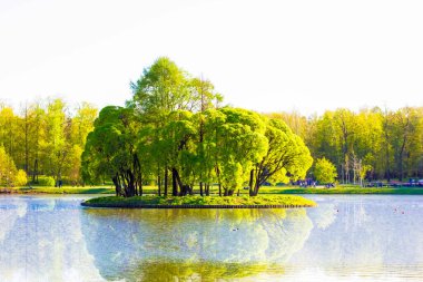 Nehrin ortasında güzel bir ada. Genetik plan rengi.