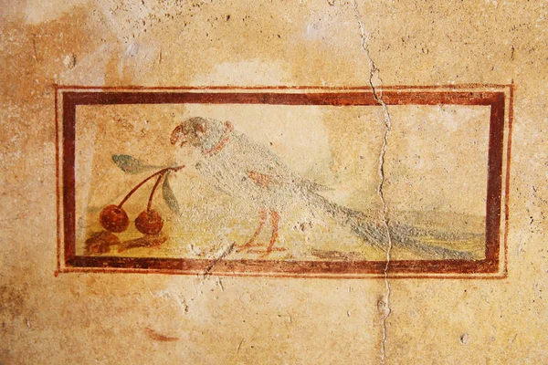 Pompeii Itálie Freska Malby Starověké Římské Hradby — Stock fotografie