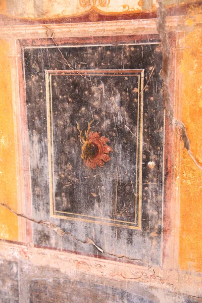 Pompeji Italien Fresco Målningar Gamla Romerska Murarna Stockbild