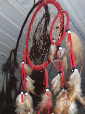 Tüylü kırmızı rüya avcısı.