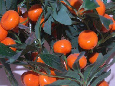 Meyveli yapay Mandarin ağacı