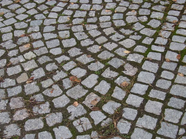 Gemusterte Quadratische Graue Fliese — Stockfoto