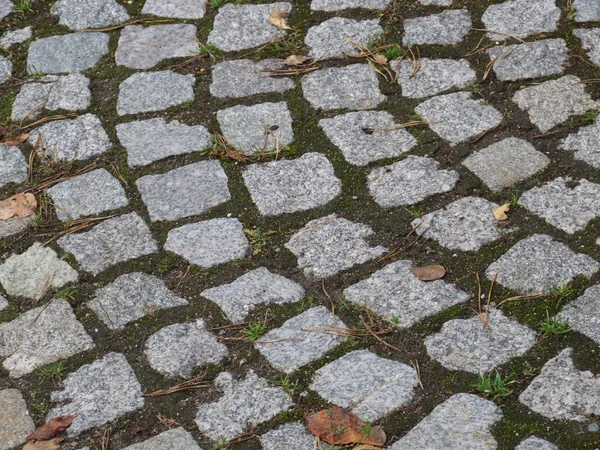 Patroon Vierkante Grijze Tegel — Stockfoto