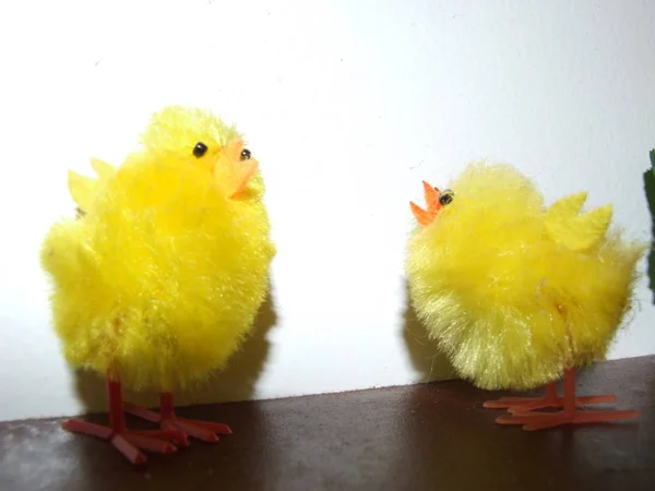 Kleine Gelbe Hühner Auf Weißem Hintergrund — Stockfoto