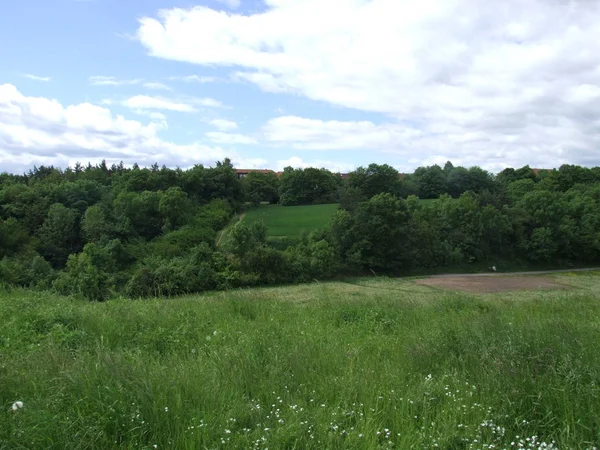 Letnia Przestrzeń Panorama Pól Republiki Czeskiej — Zdjęcie stockowe