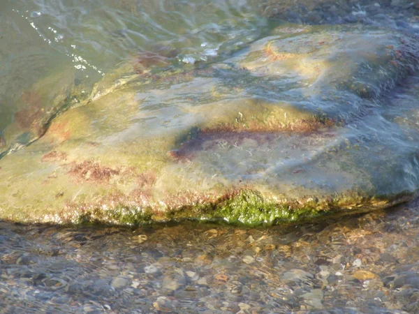 Surf Mar Piedra Con Musgo Verde —  Fotos de Stock