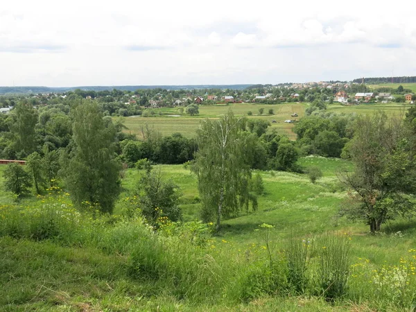 Panorama Zielonej Łąki Lecie — Zdjęcie stockowe