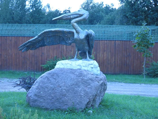 Bir Pelikan Bronz Heykeli — Stok fotoğraf