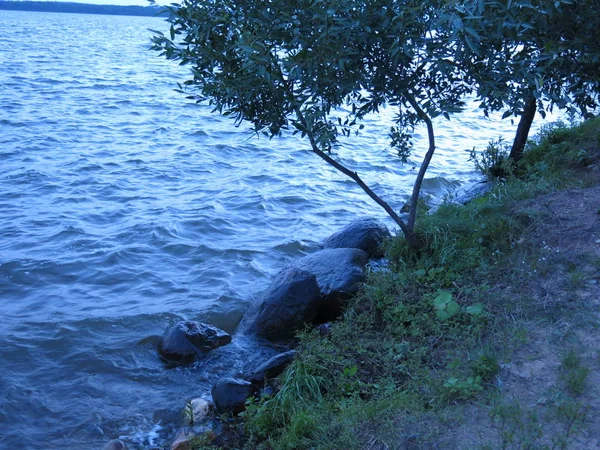 Riva Del Lago Seliger Estate Con Massi — Foto Stock