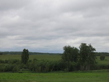 Napolyon 'un yenilgiye uğradığı Borodino tarlası.