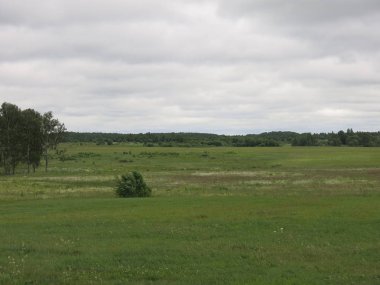 Napolyon 'un yenilgiye uğradığı Borodino tarlası.