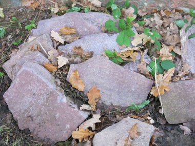Sonbaharda düşen yapraklar ve yeşil otlarla kırmızı granit taşlar.