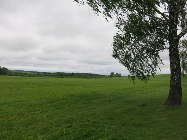 Campo Borodino Onde Napoleão Foi Derrotado Verão — Fotografia de Stock