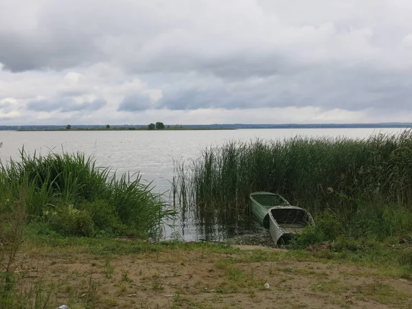 Lago Nerón Rostov Grande Hierba Verde Alto Verano — Foto de Stock