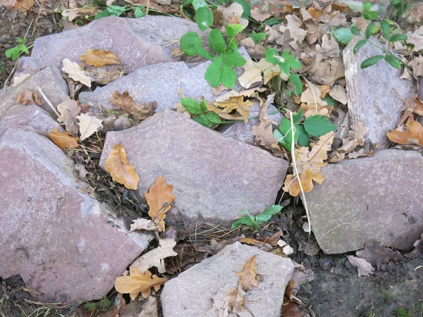 Red Granite Stones Autumn Fallen Leaves Green Grass — Stock Photo, Image