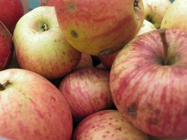 Bir demet ev yapımı sonbahar elması