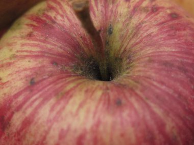 Ev yapımı sonbahar elmaları.