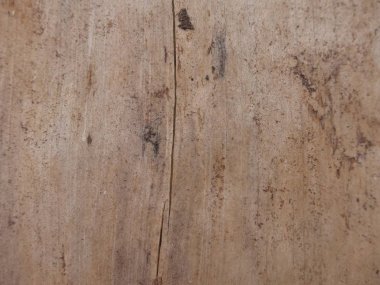 Doğal ahşabın kabuksuz dokusu.