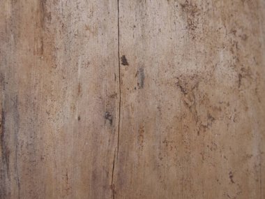 Doğal ahşabın kabuksuz dokusu.