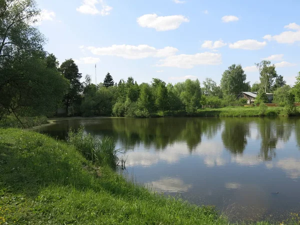 穏やかな天候の夏の絵のように美しい池 — ストック写真
