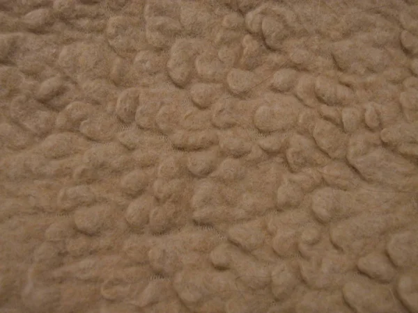 Camel Hair Rug Back Stringy — стоковое фото