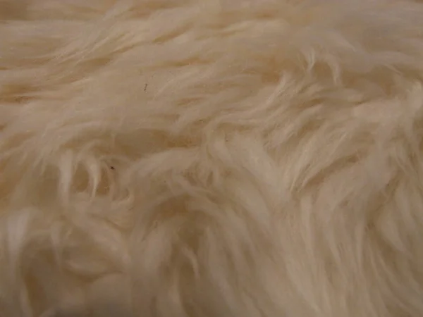 sheep skin, faux fur, long villi