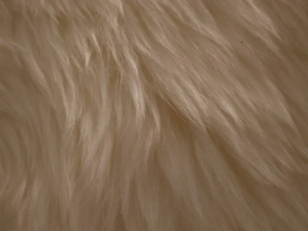 Sheep Skin Faux Fur Long Villi — Stock Photo, Image