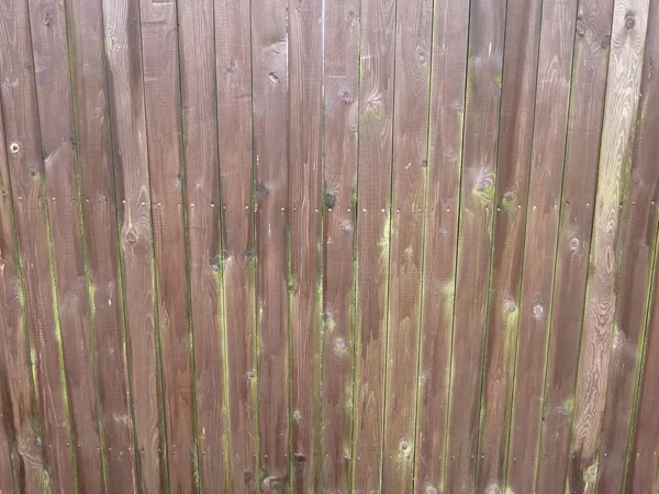 an old fence of rotten gray-brown vertical boards with green mold