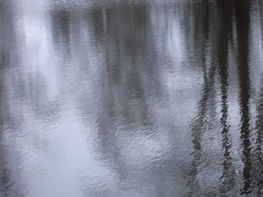 Sonbaharda göl kıyısı soğuk sudaki ağaçların yansımasıyla