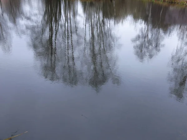 Břeh Rybníka Podzim Odrazem Stromů Studené Vodě — Stock fotografie